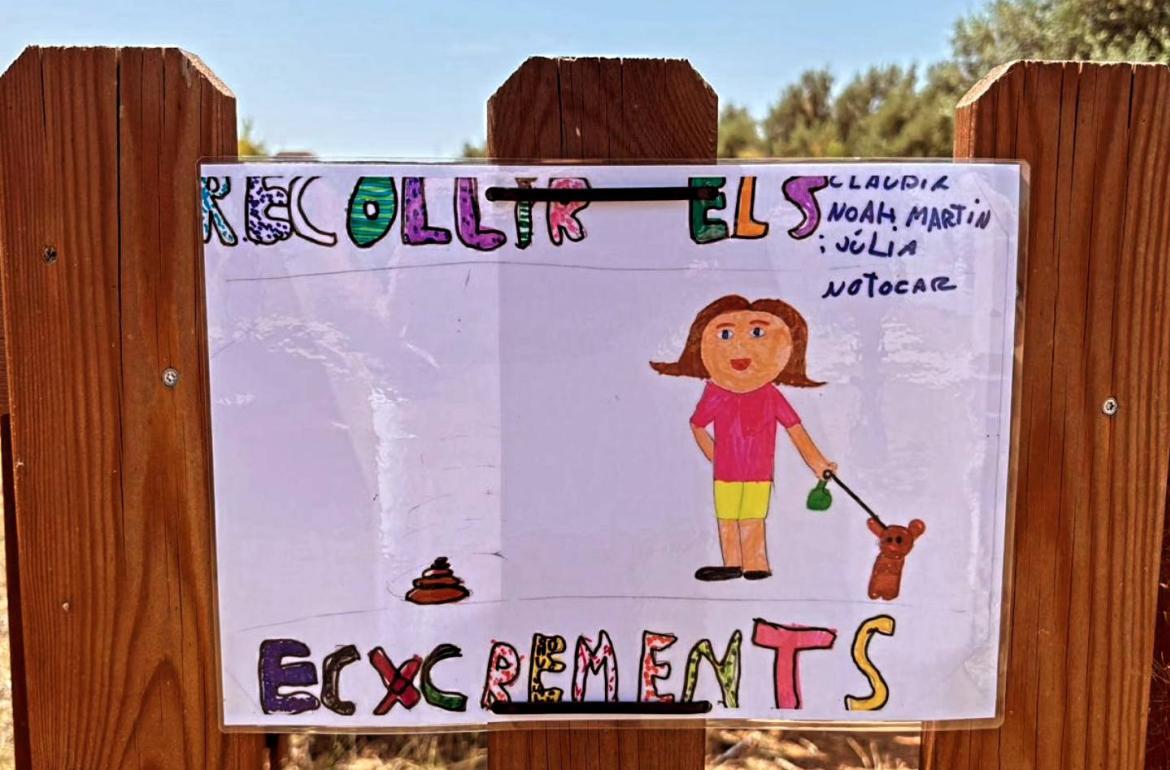 Educar 