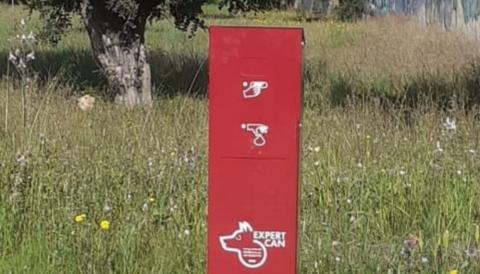 Pipican
