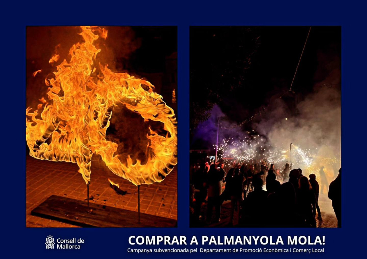 Consell de Mallorca