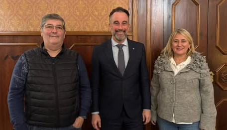 subvenció palmanyola
