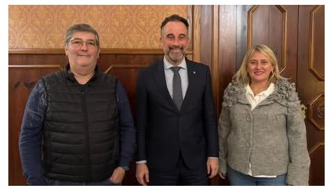 subvenció palmanyola